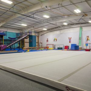 Branch Gymnastics - Battle Creek